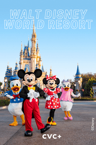 𝘞𝘢𝘭𝘵 𝘋𝘪𝘴𝘯𝘦𝘺 𝘞𝘰𝘳𝘭𝘥 Resort