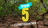 Imagem thumbnail do episódio